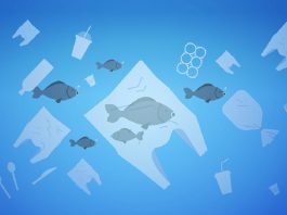 全球海洋垃圾分布 太平洋區受害最深 而海洋垃圾也將衝擊人類健康!(示意圖)