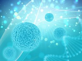 抗老化的 幹細胞技術 的市值與進展!
