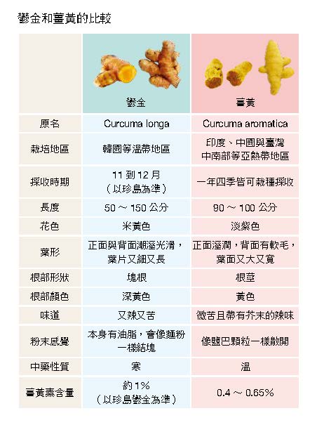 A Comparison Between Turmeric And Curcuma