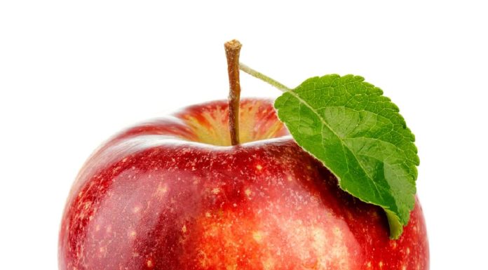An Apple 一蘋果