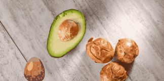 Avocado Seed