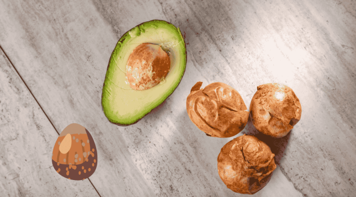 Avocado Seed