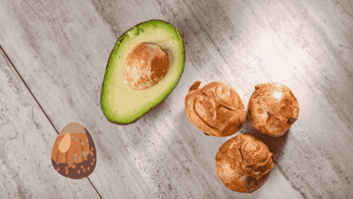 Avocado Seed