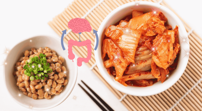 腸道健康情緒也穩了!日本精神科醫師揭發酵食物「抗憂鬱菜單」 Fermented Foods Improve The Intestines And Depression