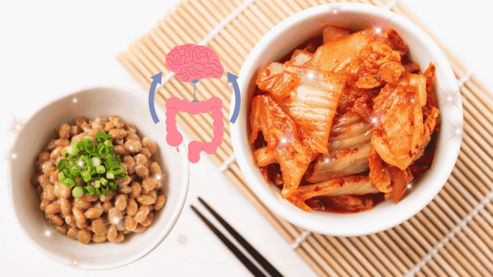 Fermented Foods Improve The Intestines And Depression