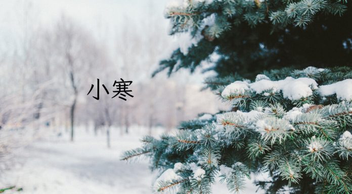 Minor Cold