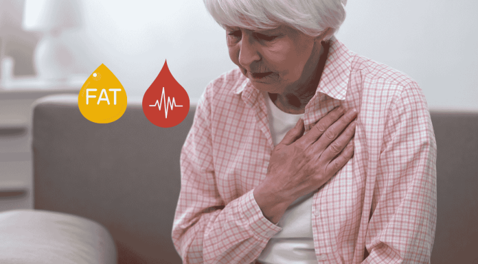 Mortality From New Cardiovascular Diseases Doubled In Postmenopausal Women