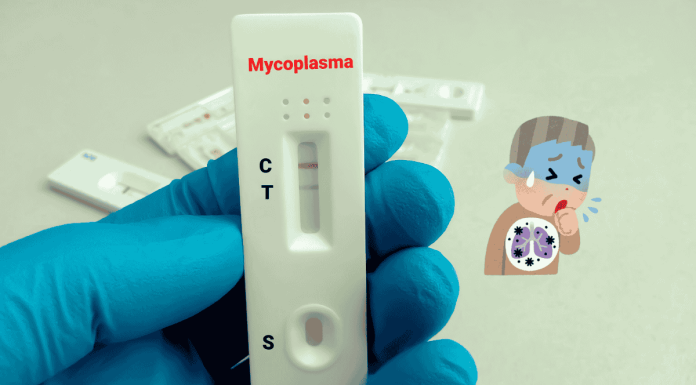 Mycoplasma