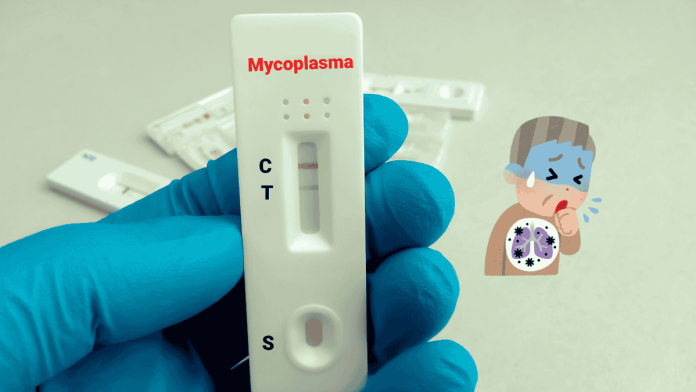 Mycoplasma
