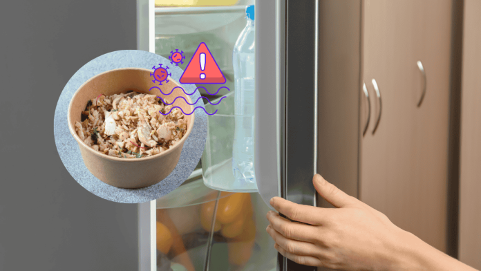 PFAS Environmental Hormones Paper Container Safety