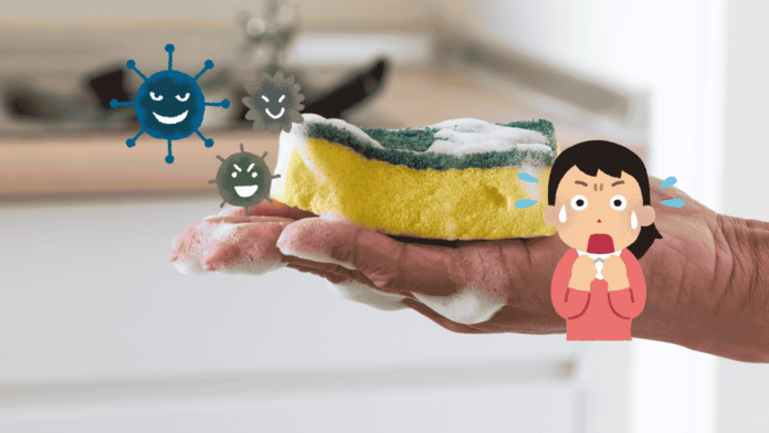 Sponge Hygiene Allergy