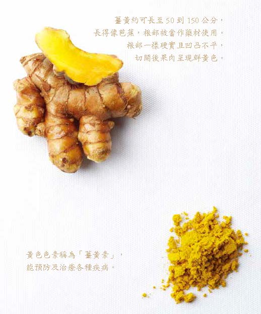 Turmeric And Curcumin
