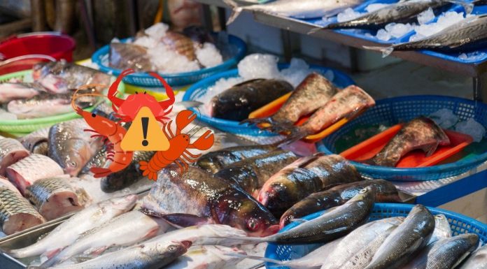 Typhoid Fever From Eating Seafood