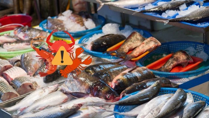 Typhoid Fever From Eating Seafood