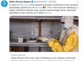 世界衛生組織(WHO)在官方的twitter上發布馬堡病毒現身西非的訊息(圖.翻攝於世衛twitter))