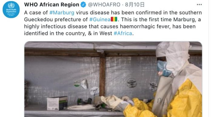 世界衛生組織(WHO)在官方的twitter上發布馬堡病毒現身西非的訊息(圖.翻攝於世衛twitter))
