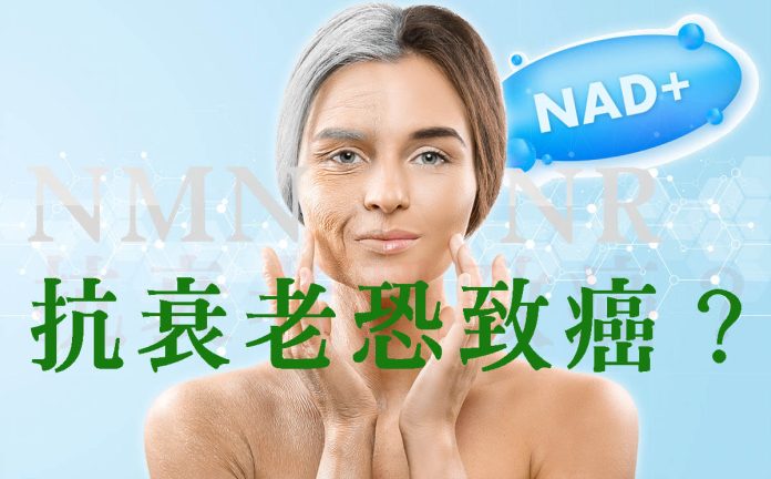 NMN 抗衰老