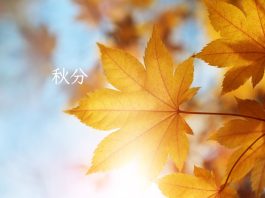 秋分一到就咳不停?醫:忌吃3種食物,2穴位、日常保養6招快筆記 Autumnal Equinox2024