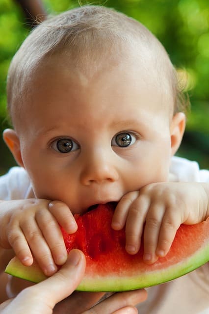 Baby Watermelon