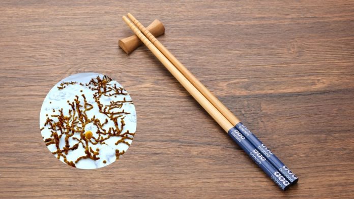 Bamboo And Wooden Chopsticks Breed Aflatoxin