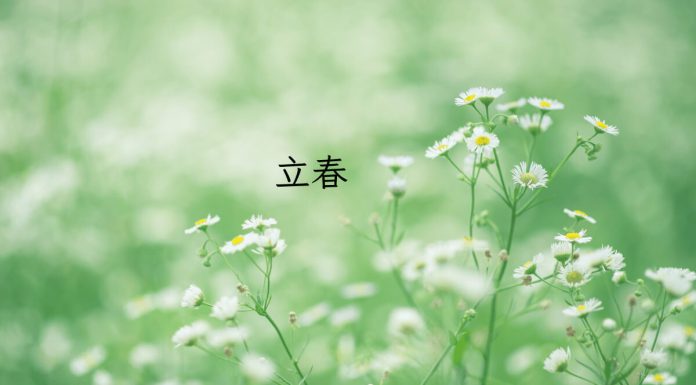 Beginning Of Spring