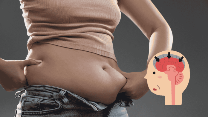 Belly Fat
