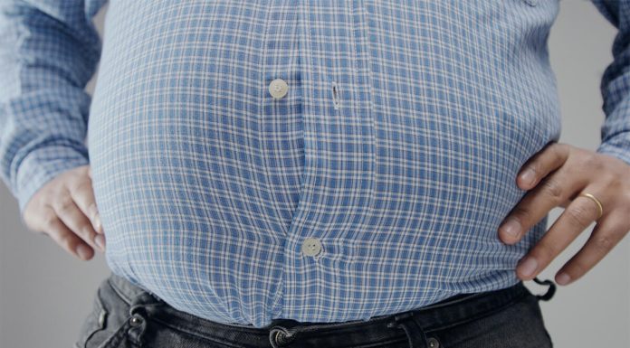 Bellyfat