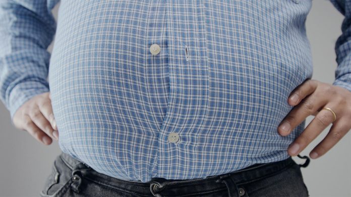 Bellyfat