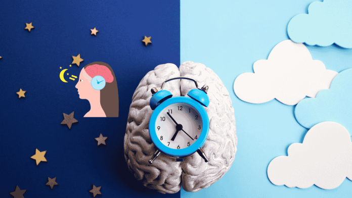 Biological Clock