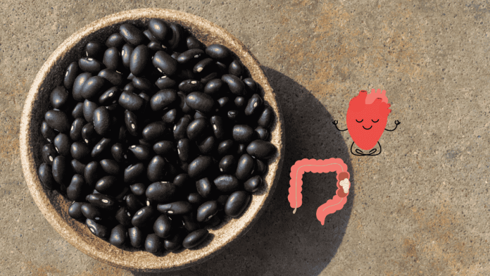 Black Bean