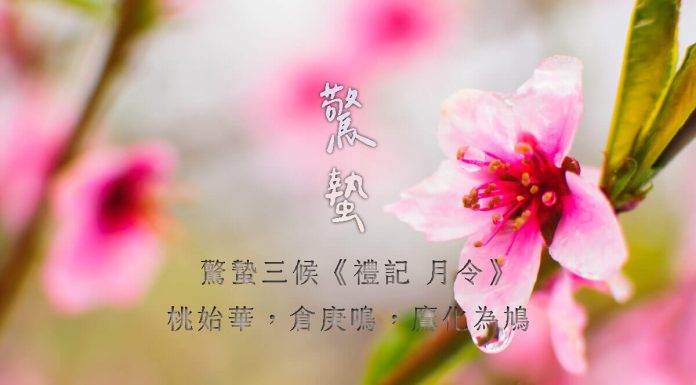 24節氣驚蟄中醫養生 驚蟄順應肝陽漸升防肝病 24節氣驚蟄
