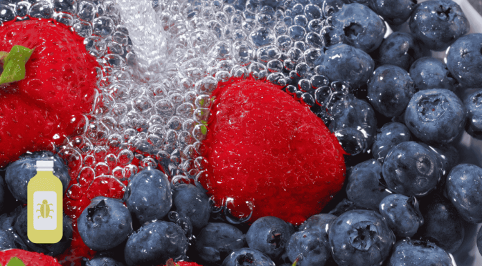 Blueberry