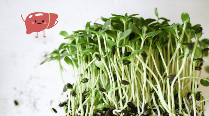 Broccoli Sprouts