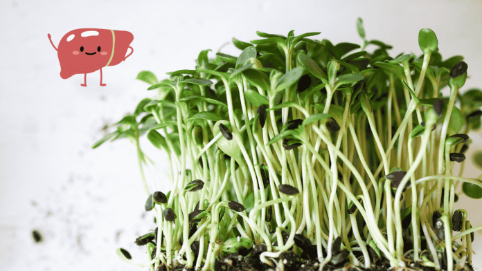 Broccoli Sprouts