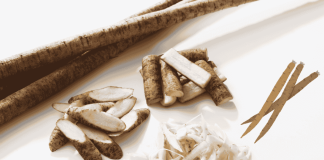Burdock Root