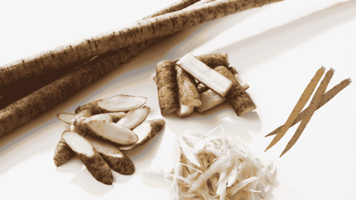 Burdock Root