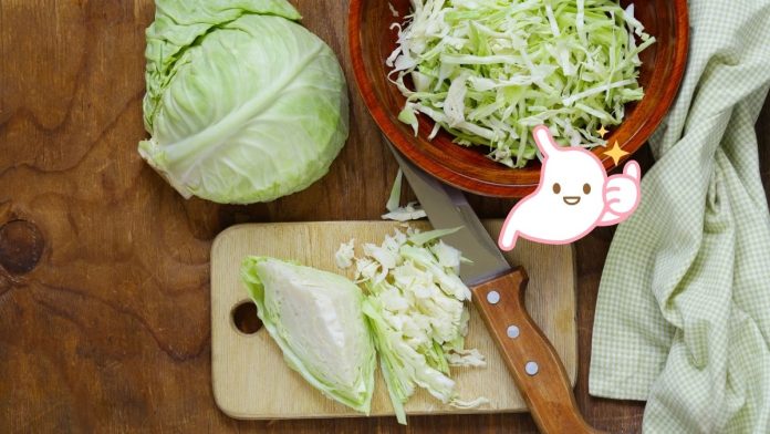 Cabbage Is The Stomach Medicine Of Vegetables
