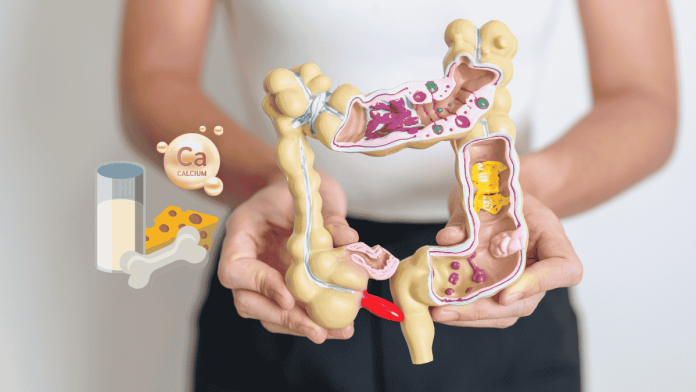 Calcium Bowel