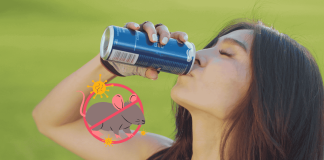 Can Drink Leptospirosis Hantavirus Prevention