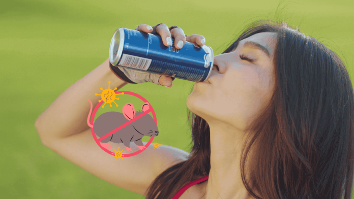 Can Drink Leptospirosis Hantavirus Prevention