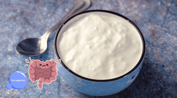 豆漿、優格都中標!鹿角菜膠吃太多恐破壞腸道、增糖尿病風險 Carrageenan