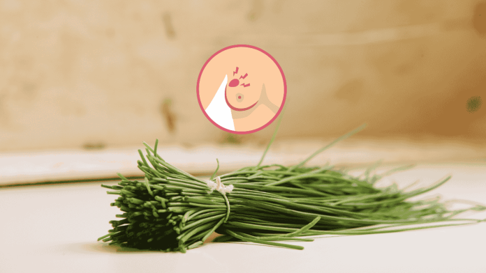 Chives
