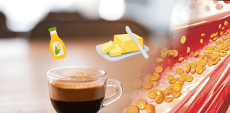 Cholesterol Blood Lipids Diet Foods