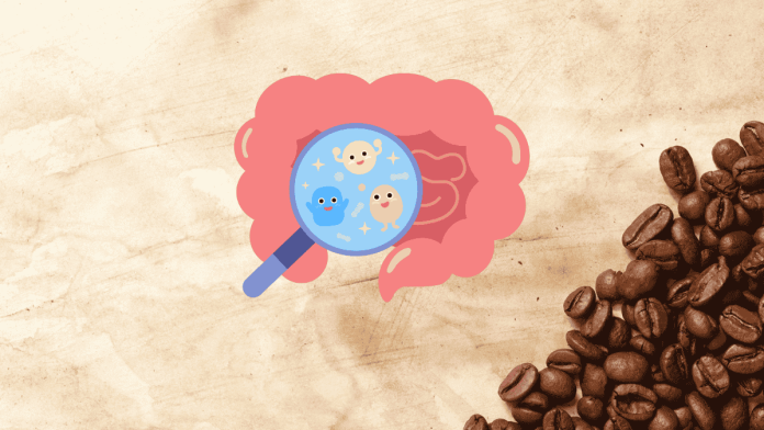 Coffee Gut