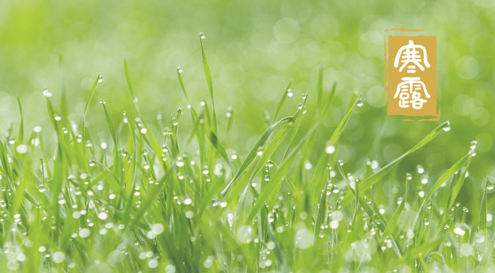 Cold Dew