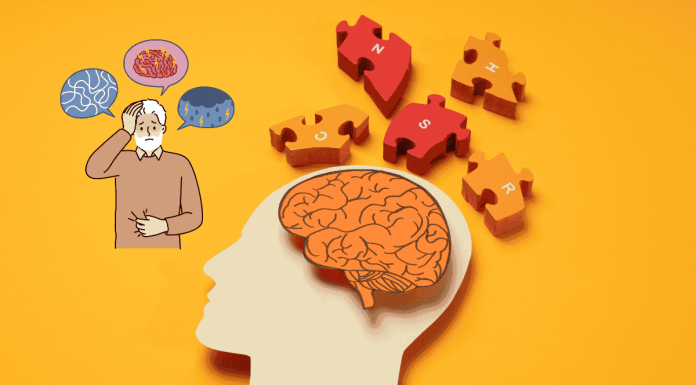 Dementia Brain Aging