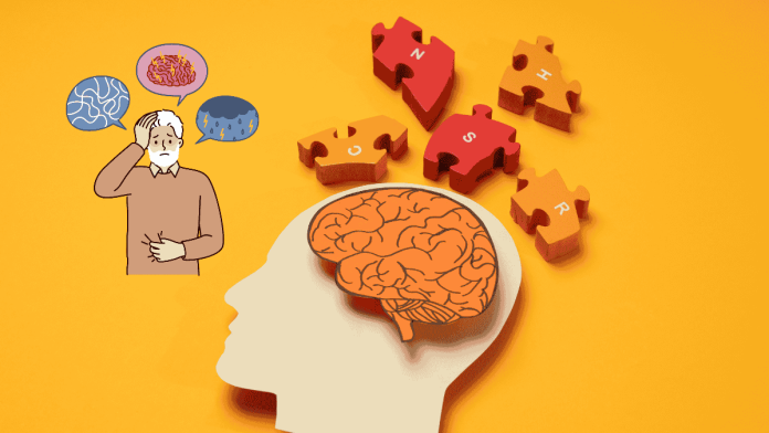 Dementia Brain Aging