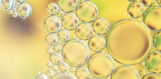 Exosome