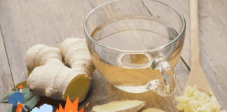Ginger Metabolism Switch TCM