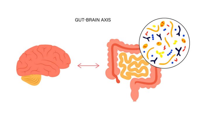 Gut Brain Axis